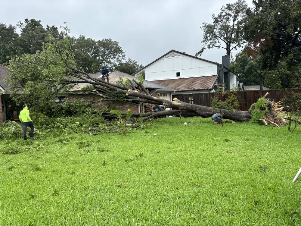 Local lawn care service experts serving Brookshire, TX - Jc Tree Service & Landscape