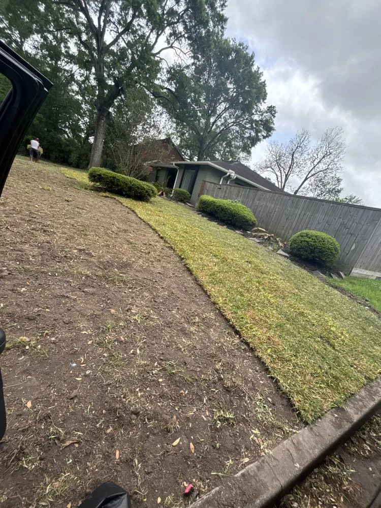 Affordable lawn mowing service in Brookshire, TX by Jc Tree Service & Landscape