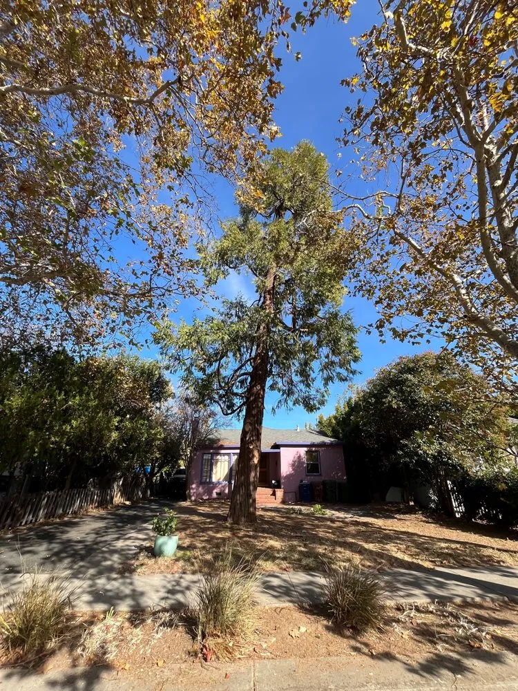 Top-rated landscape design in Brentwood, CA - JC Tree Service