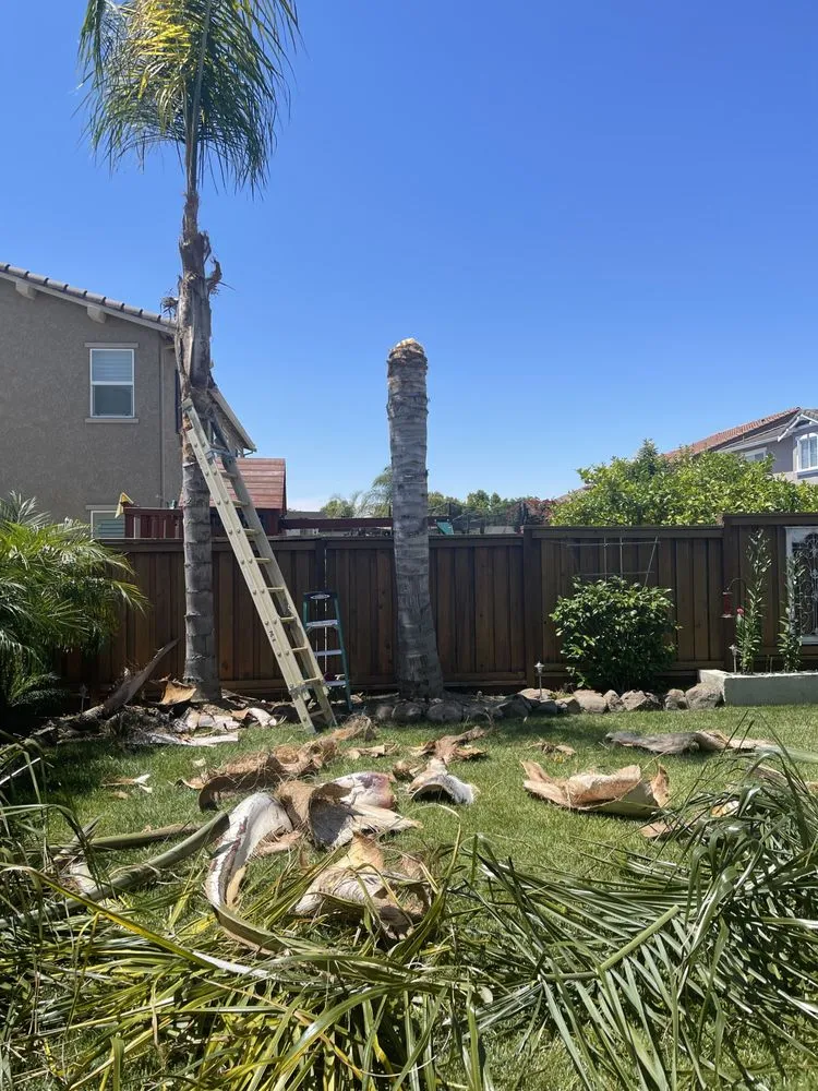 Professional lawn care service for residential properties in Brentwood, CA by JC Tree Service