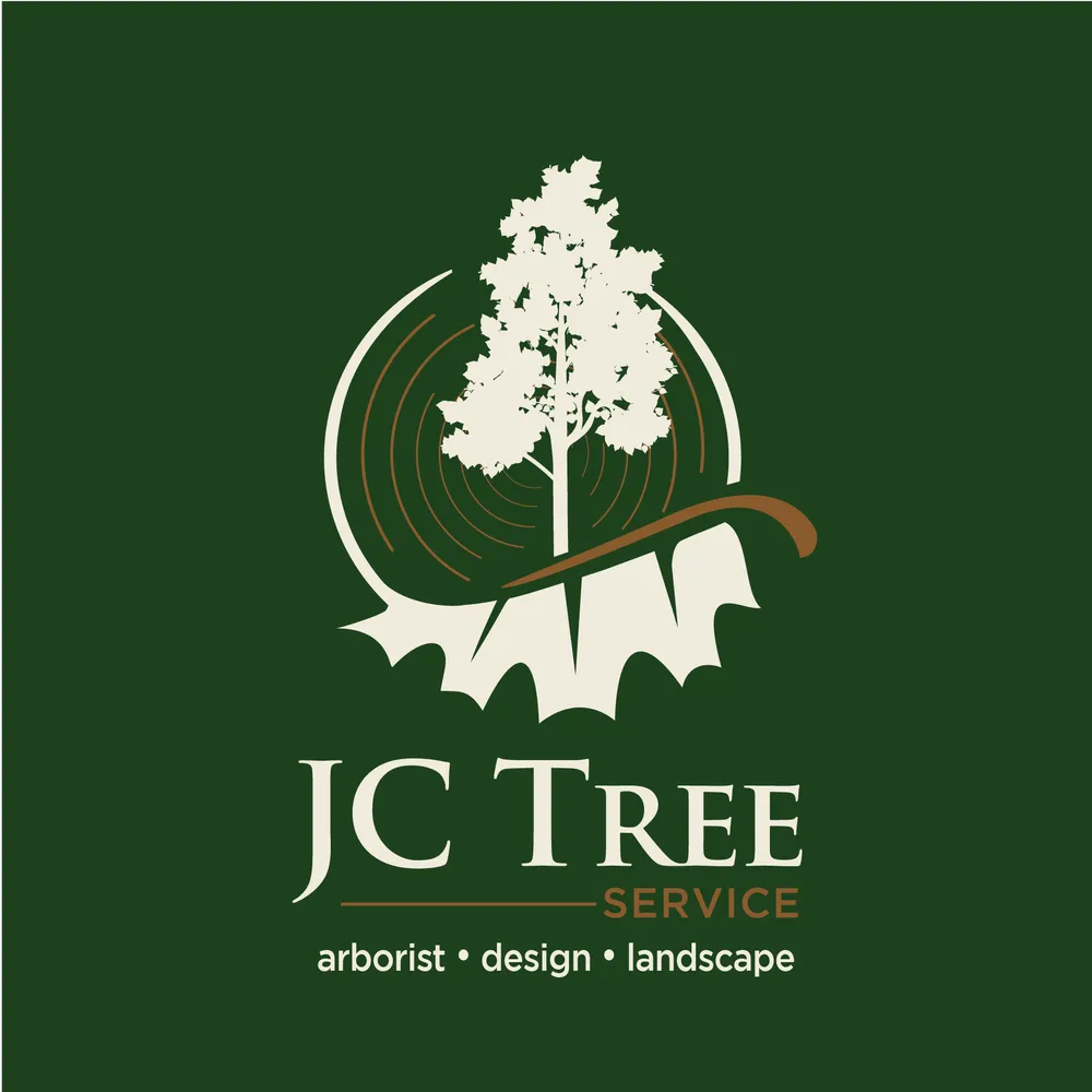Affordable yard maintenance in Brentwood, CA - JC Tree Service