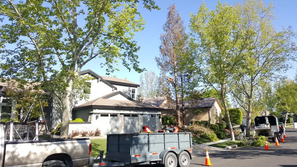 Trusted lawn mowing service in Brentwood, CA - JC Tree Service