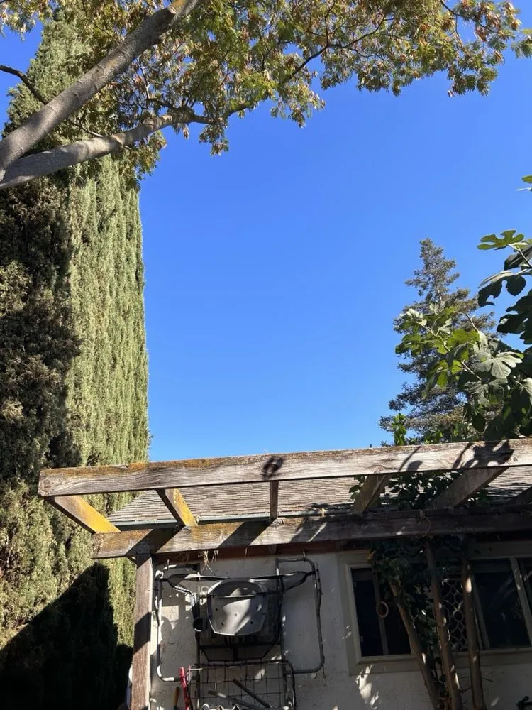 Affordable outdoor landscaping in Brentwood, CA - JC Tree Service