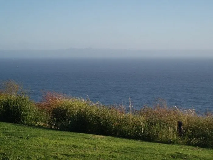 Professional landscape design experts serving Brentwood, CA - JC Tree Service