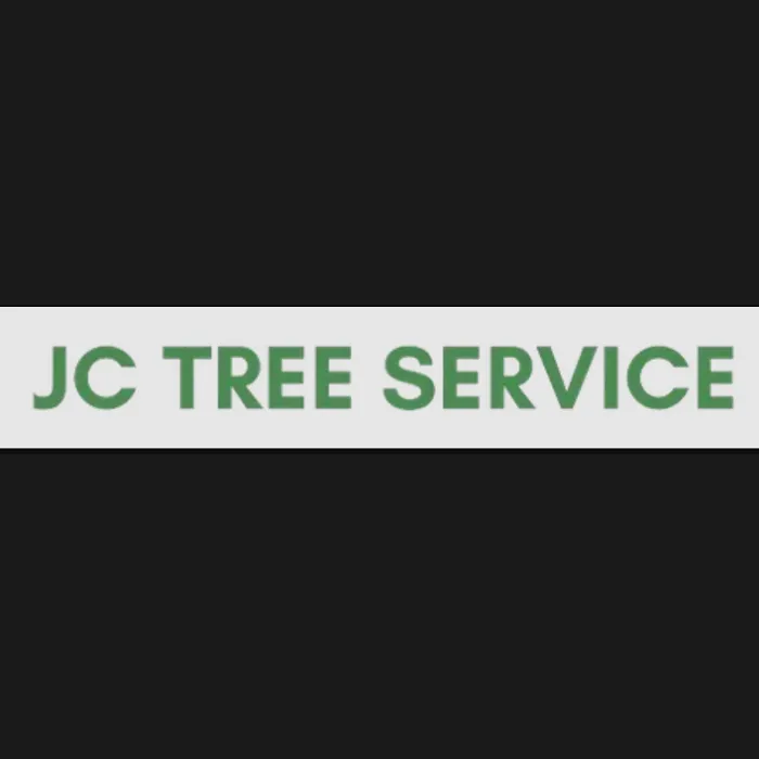 Expert landscape installation for year-round maintenance across Moorefield, WV - JC Tree Service
