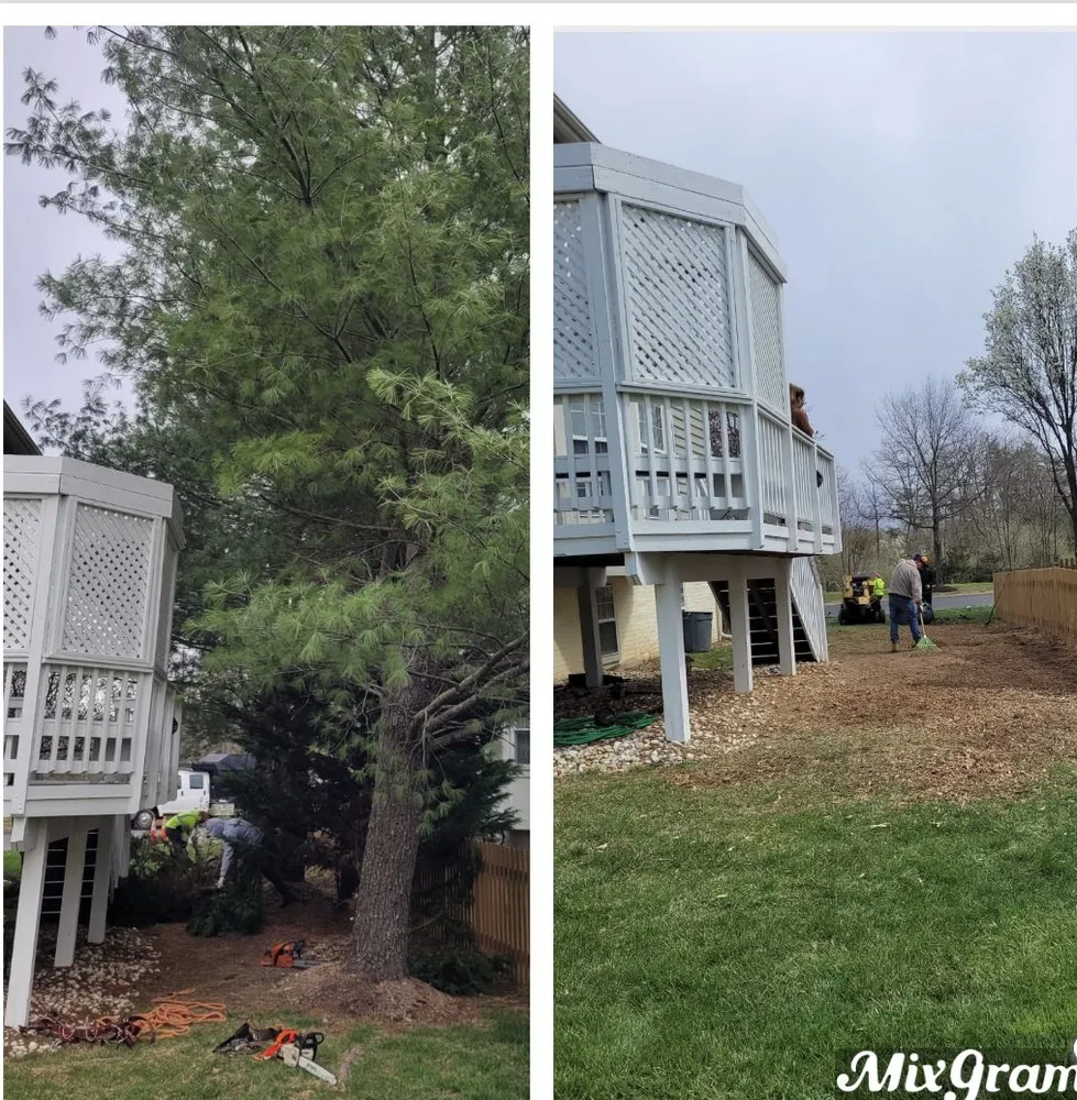 Expert garden landscaping experts serving Bealeton, VA - JC Tree Services and Landscaping