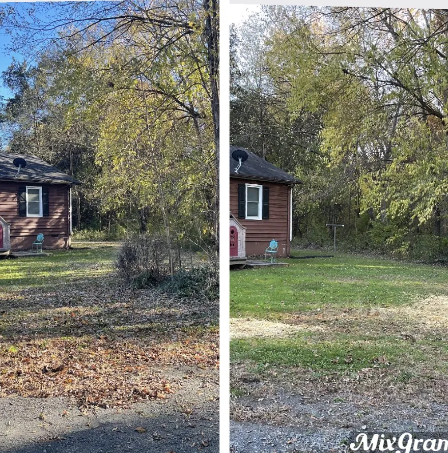 Reliable yard cleanup service for residential properties in Bealeton, VA by JC Tree Services and Landscaping