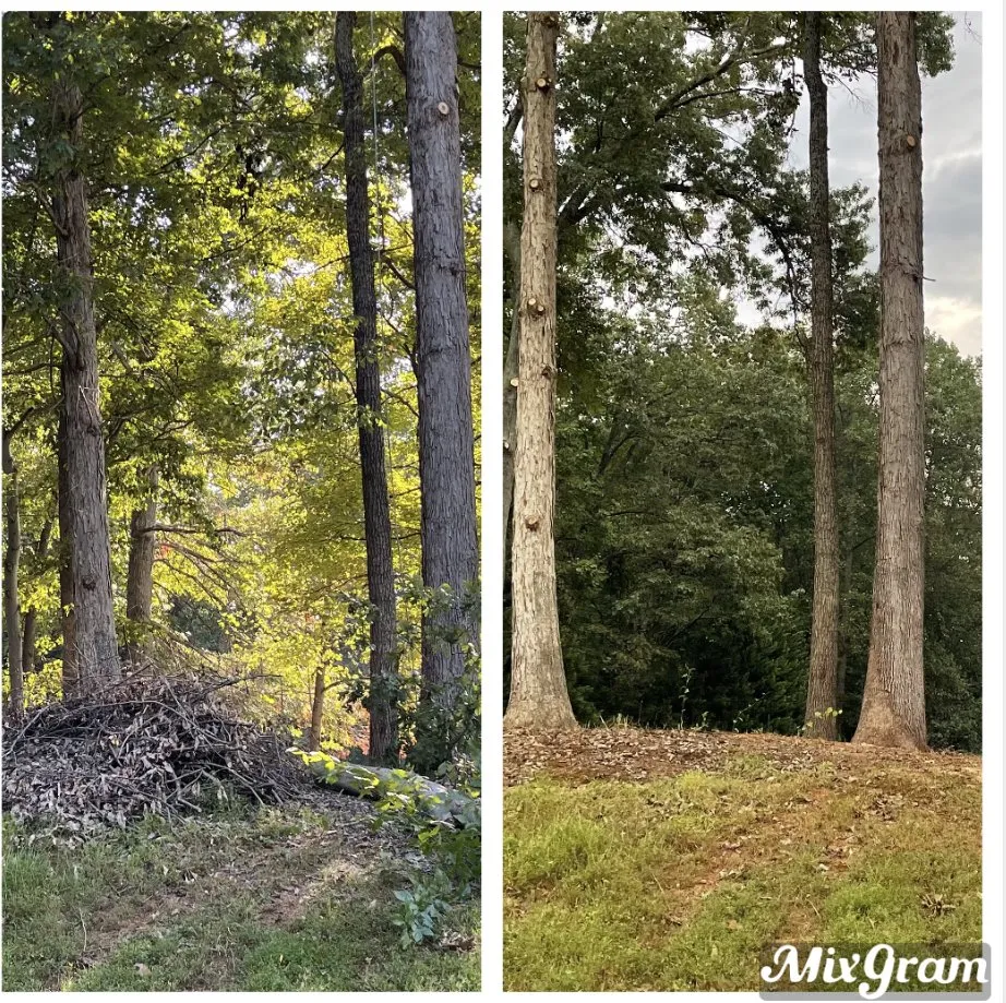 Affordable landscape installation with custom design in Bealeton, VA by JC Tree Services and Landscaping