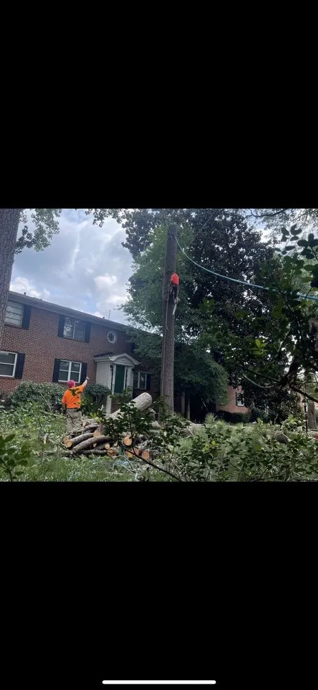 Trusted lawn care service in Carrollton, GA - JC Tree Services