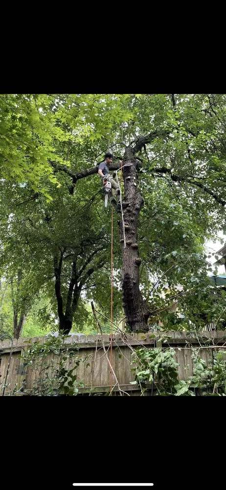 Expert garden landscaping experts serving Carrollton, GA - JC Tree Services