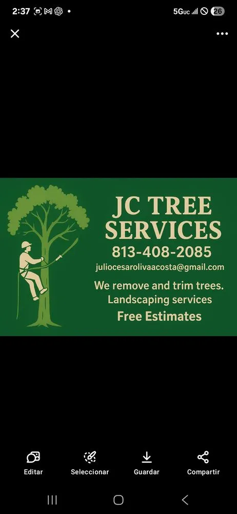Trusted outdoor landscaping with custom design in Tampa, FL by JC Tree Services