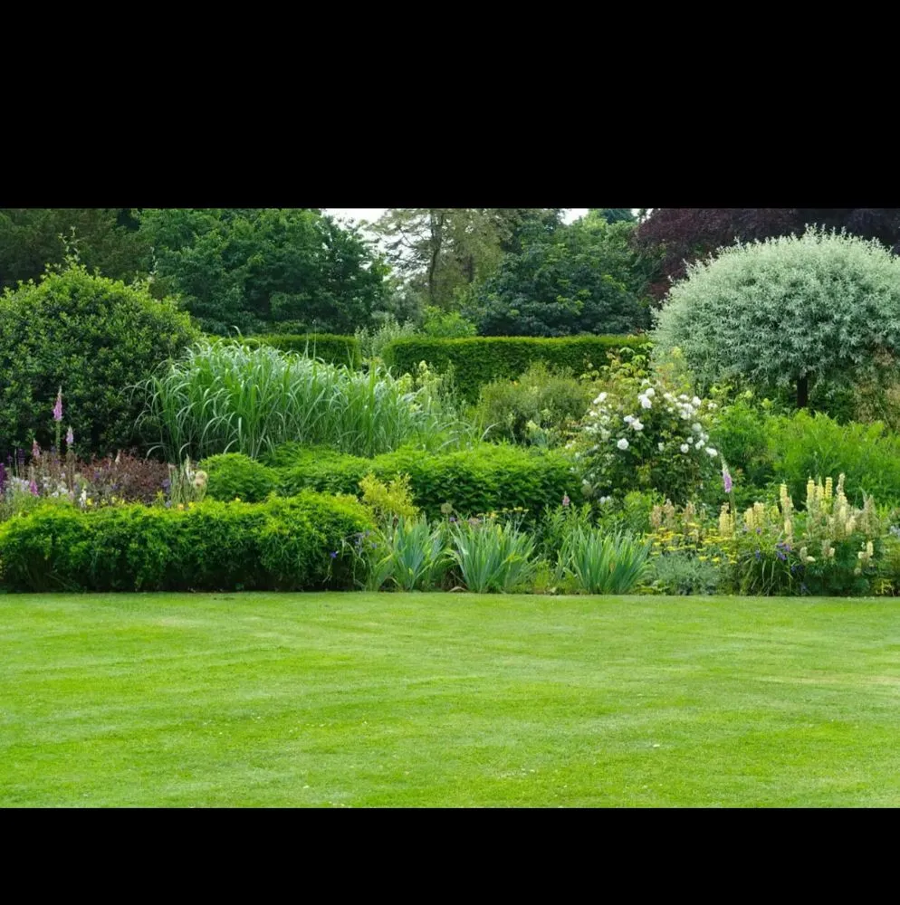 Top-rated landscape installation for year-round maintenance across Buda, TX - J&C Working Hard