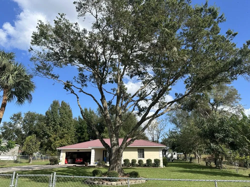 Custom yard maintenance experts serving Center Hill, FL - JC Works