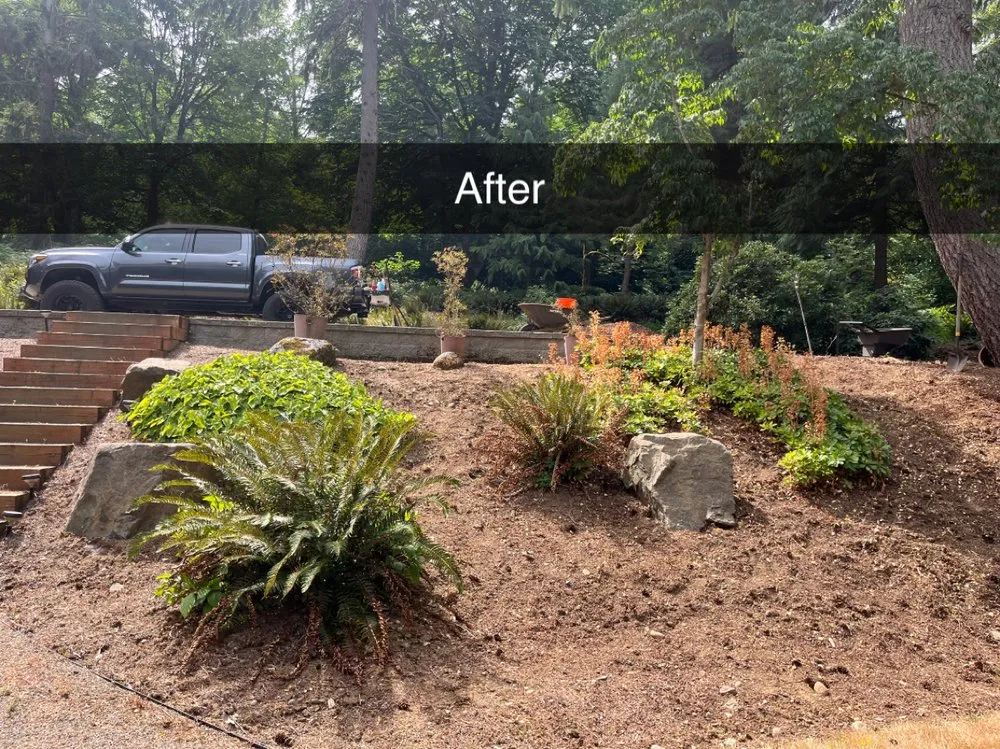Affordable yard cleanup service near you in Arlington, WA by JC Yard Care