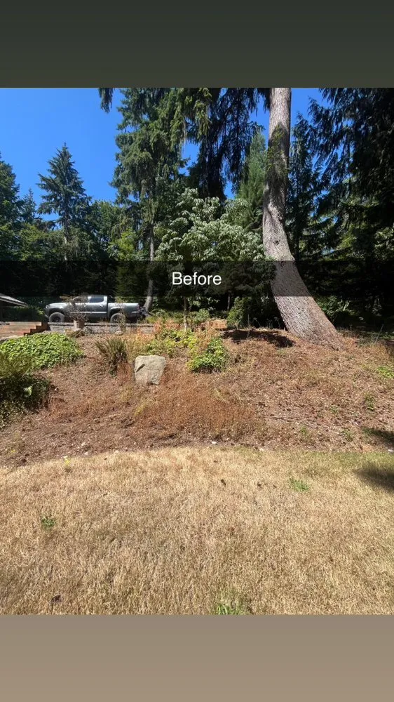 Local yard maintenance with custom design in Arlington, WA by JC Yard Care