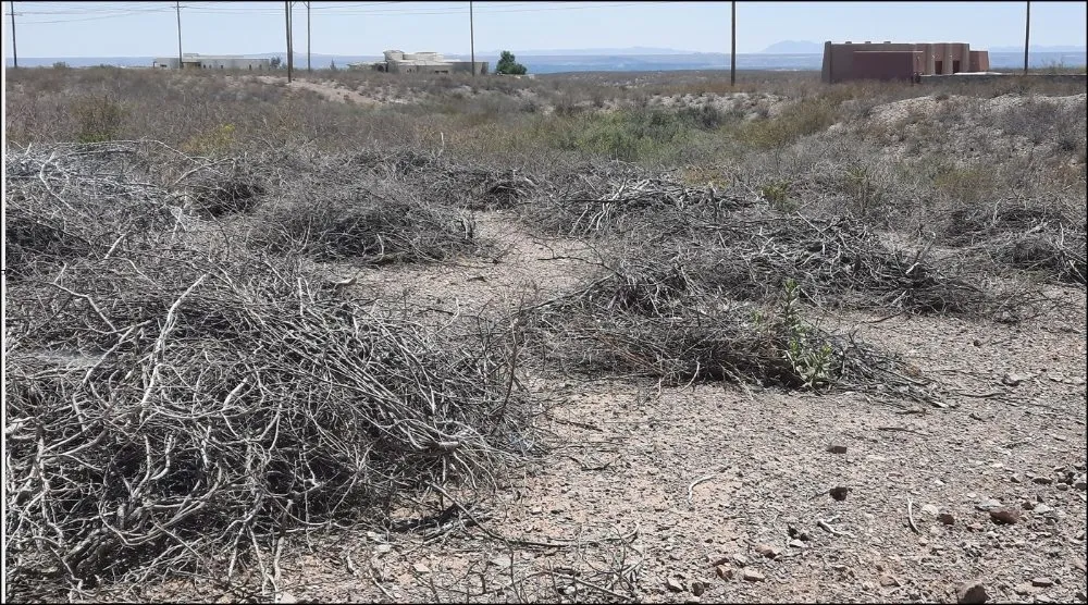 Reliable yard cleanup service for homes in Chaparral, NM by JC Yard Cleaning, Landscaping and Junk Removal