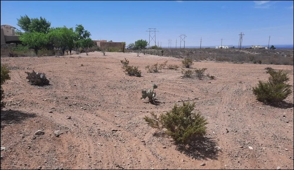 Professional landscape installation in Chaparral, NM by JC Yard Cleaning, Landscaping and Junk Removal