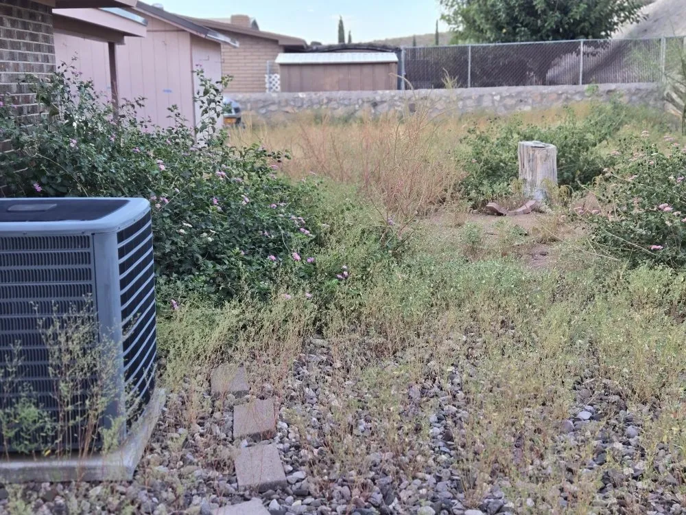Expert yard maintenance in Chaparral, NM - JC Yard Cleaning, Landscaping and Junk Removal