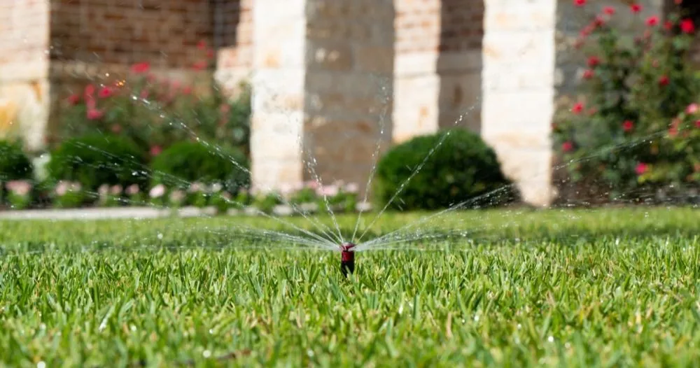 Local yard cleanup service for residential properties across Weslaco, TX - JC3 Lawn and Landscape