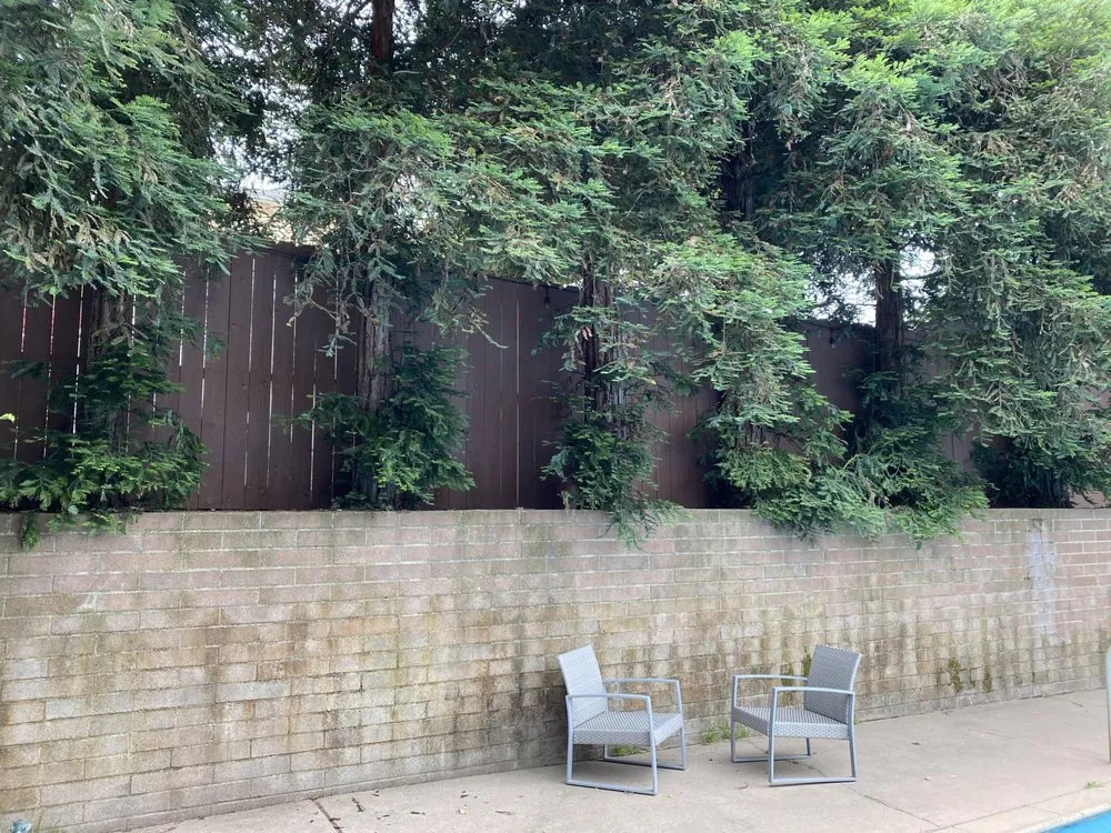 Professional residential landscaping in Los Angeles, CA by Jca landcare