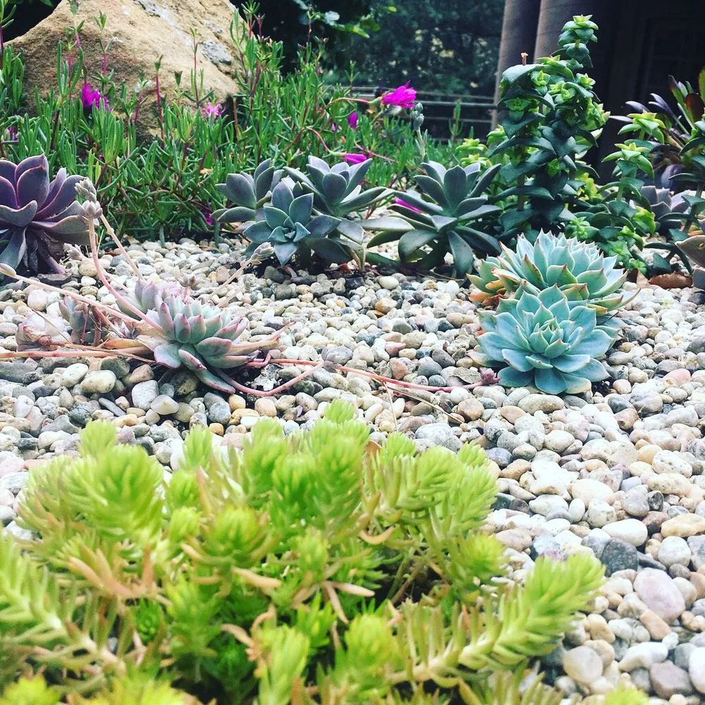 Professional landscape installation experts serving Los Angeles, CA - Jca landcare