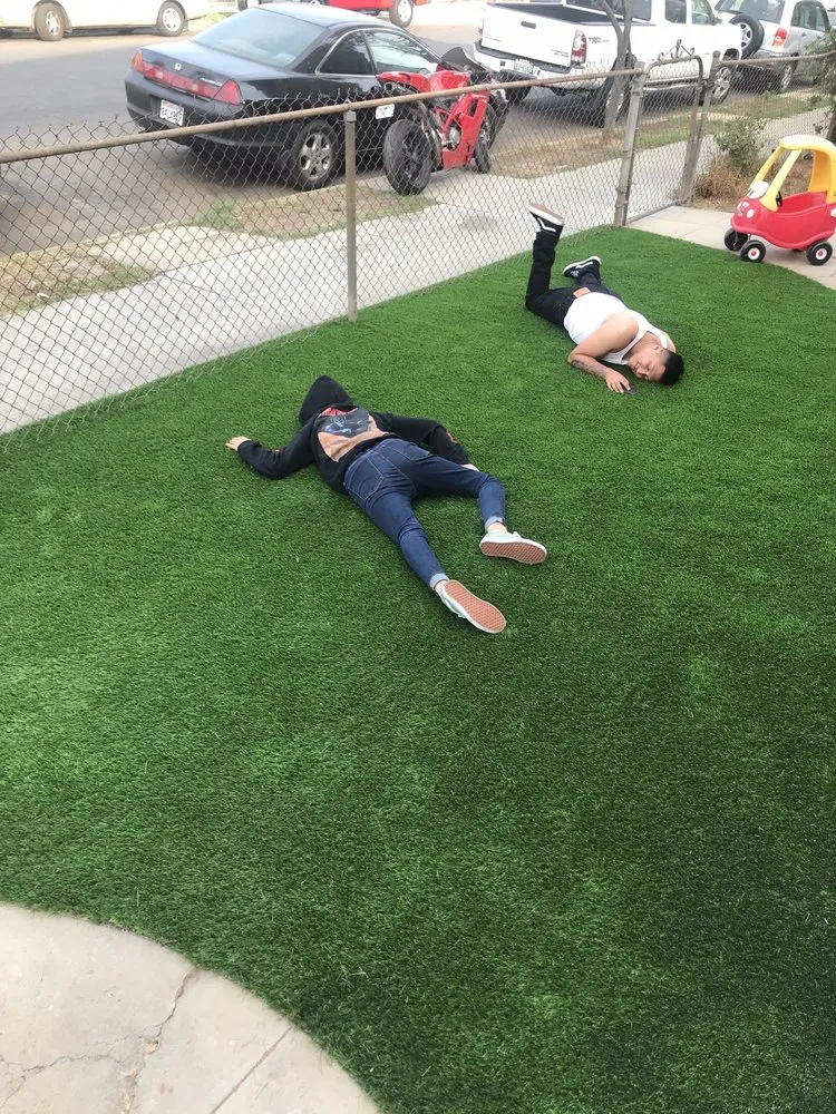 Top-rated residential landscaping in Los Angeles, CA by Jca landcare