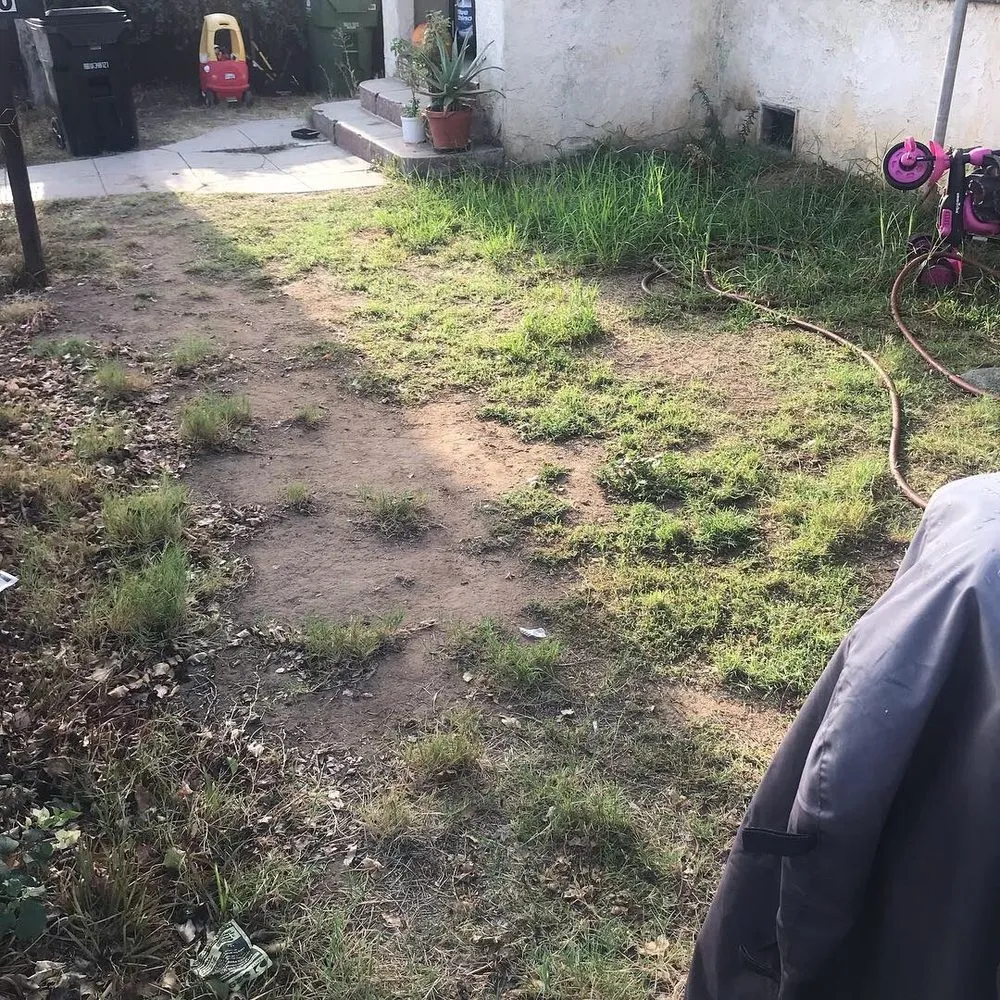 Reliable residential landscaping for homes across Los Angeles, CA - Jca landcare