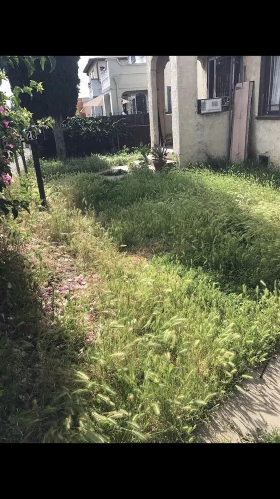 Expert landscape installation in Los Angeles, CA - Jca landcare