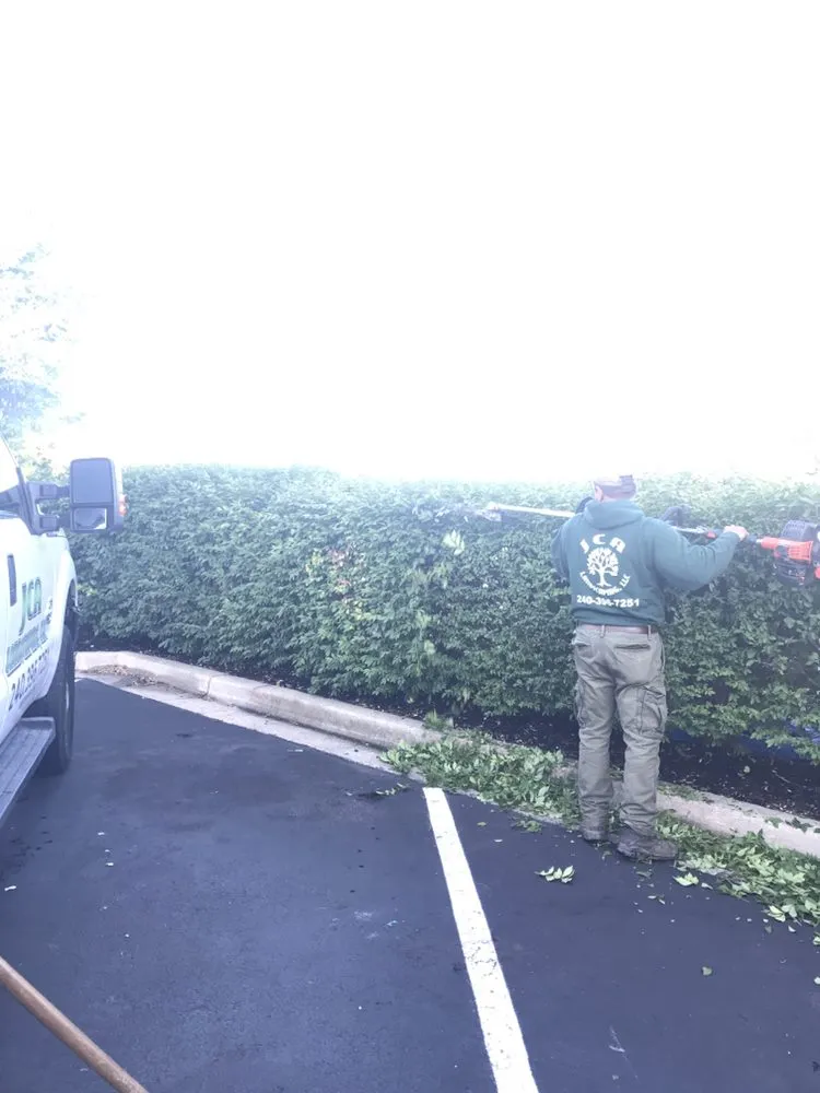 Reliable yard cleanup service for year-round maintenance across Laurel, MD - JCA Landscaping