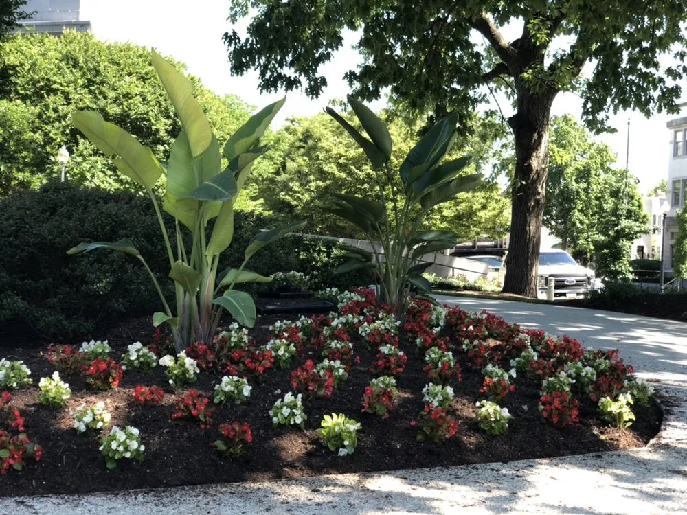 Affordable yard cleanup service in Laurel, MD - JCA Landscaping