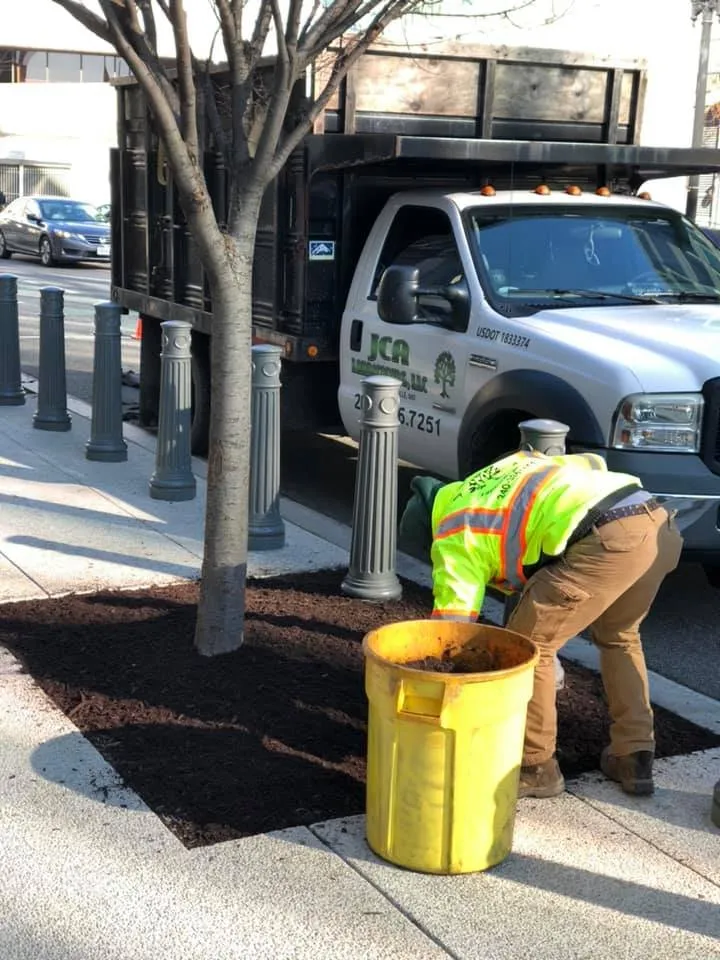 Affordable landscaping services in Laurel, MD by JCA Landscaping