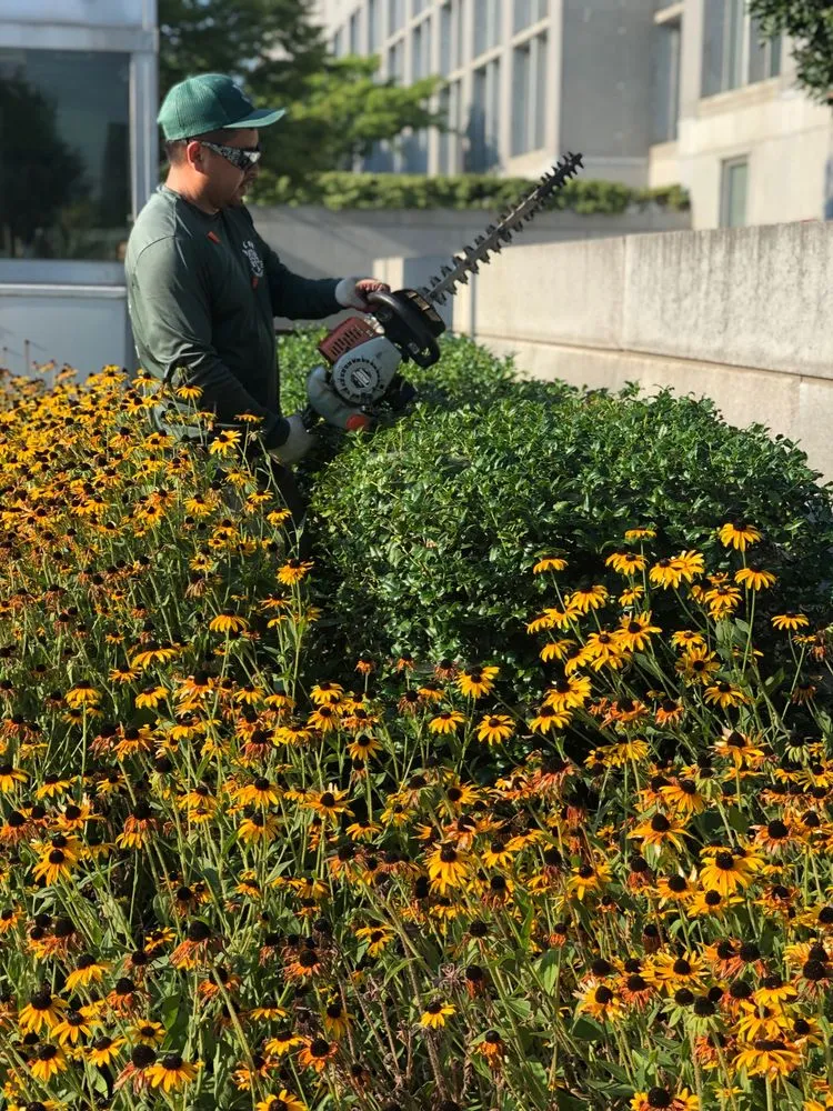 Top-rated yard cleanup service experts serving Laurel, MD - JCA Landscaping