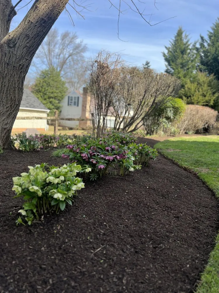 Reliable residential landscaping in Laurel, MD - JCA Landscaping