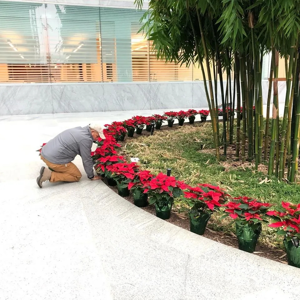 Trusted landscape design for beautiful yards in Laurel, MD by JCA Landscaping