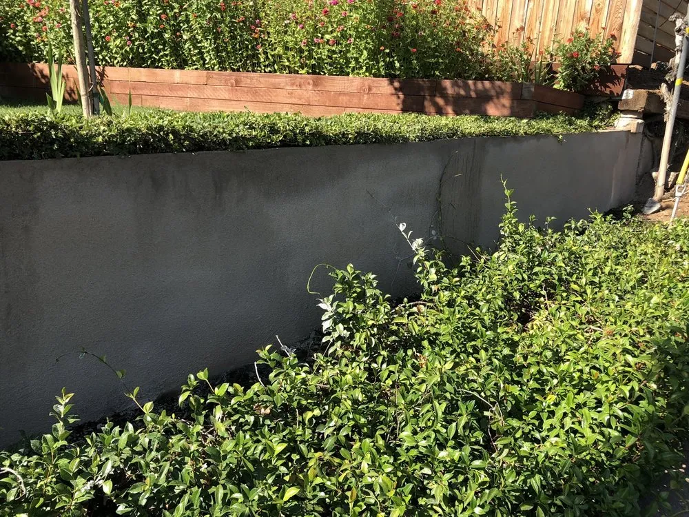 Local landscape installation for year-round maintenance in San Leandro, CA by JCA Landscaping