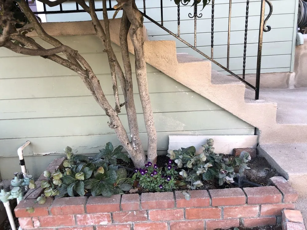 Reliable yard cleanup service for outdoor upgrades across San Leandro, CA - JCA Landscaping