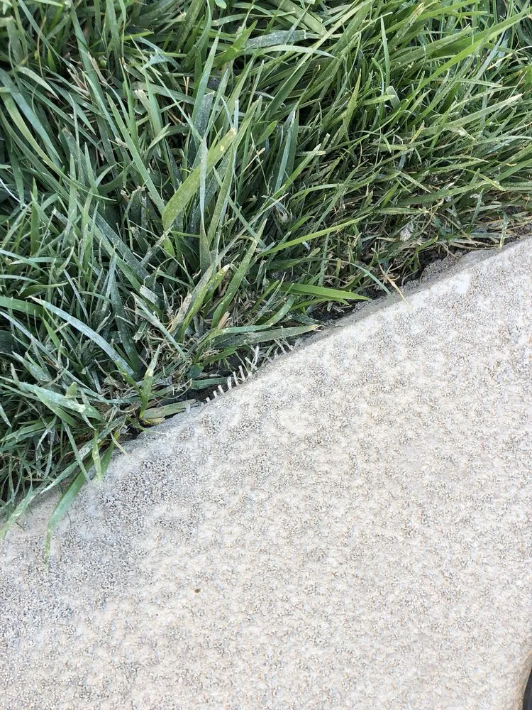 Expert landscaping services experts serving San Leandro, CA - JCA Landscaping