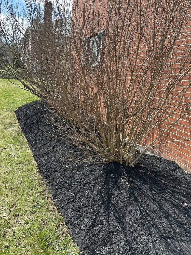 Professional outdoor landscaping in Pottstown, PA - JCA Landscaping Services