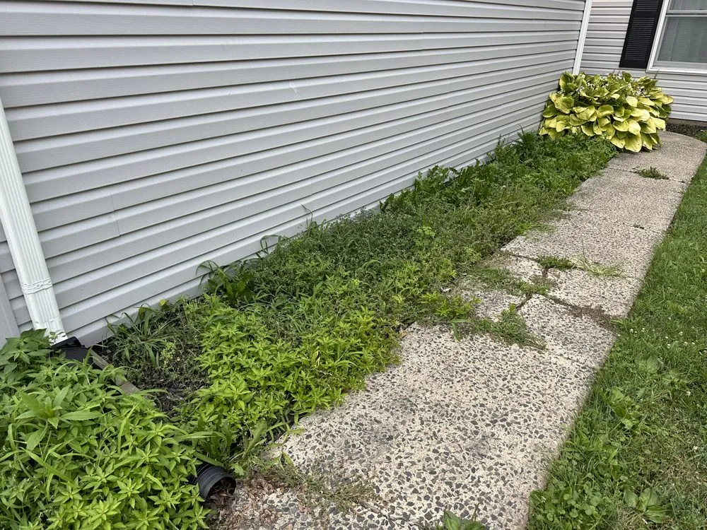 Expert yard cleanup service in Quakertown, PA - JCA Property Services