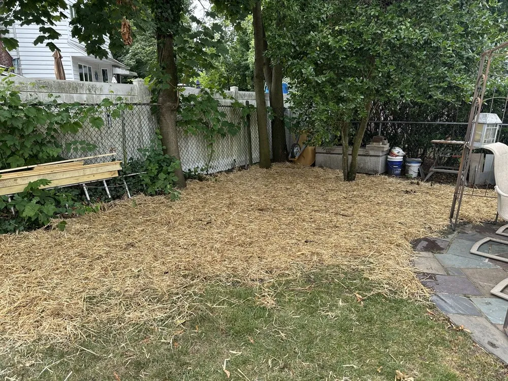 Top-rated landscape design for outdoor upgrades across Quakertown, PA - JCA Property Services