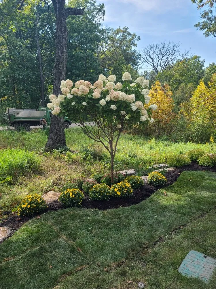 Trusted lawn care service for outdoor upgrades across Highwood, IL - JCarlos Landscaping