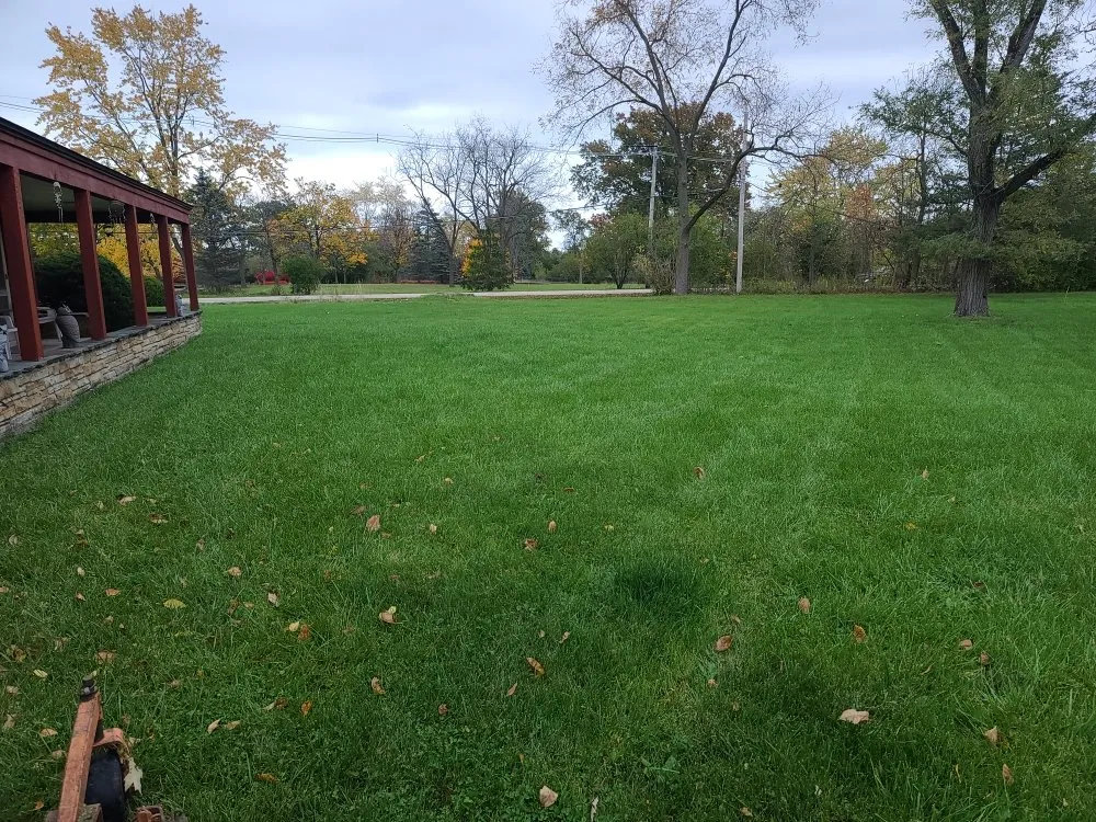 Affordable lawn mowing service with custom design in Highwood, IL by JCarlos Landscaping