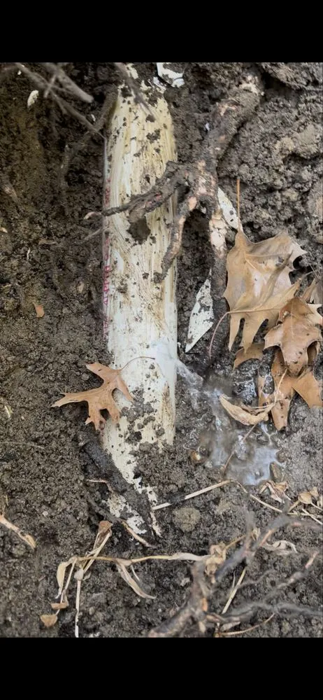 Professional outdoor landscaping for year-round maintenance across Greenville, NC - Jcc Landscaping & plumbing