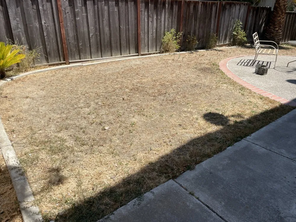 Trusted outdoor landscaping in San Jose, CA - JCC Landscaping