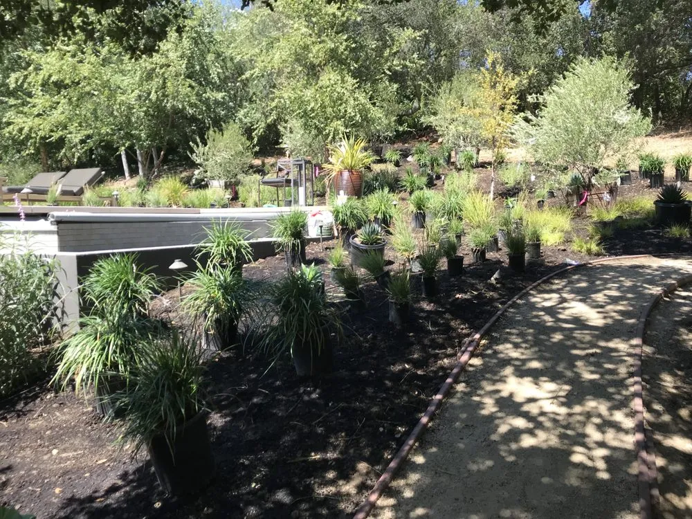 Expert outdoor landscaping experts serving San Jose, CA - JCC Landscaping