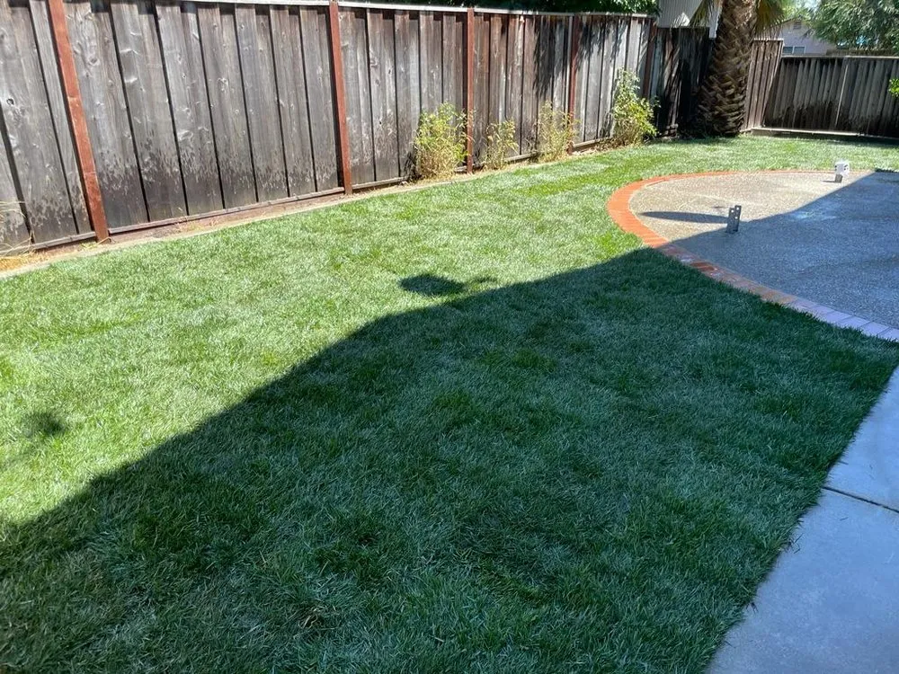 Professional outdoor landscaping near you across San Jose, CA - JCC Landscaping