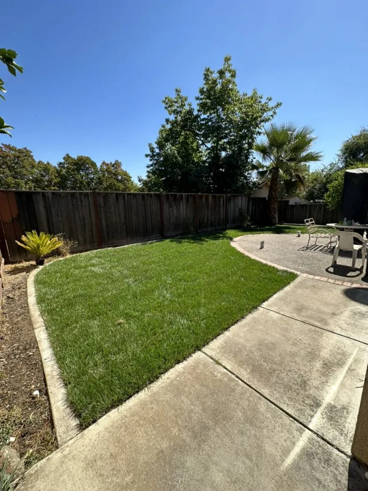Affordable landscape design in San Jose, CA by JCC Landscaping