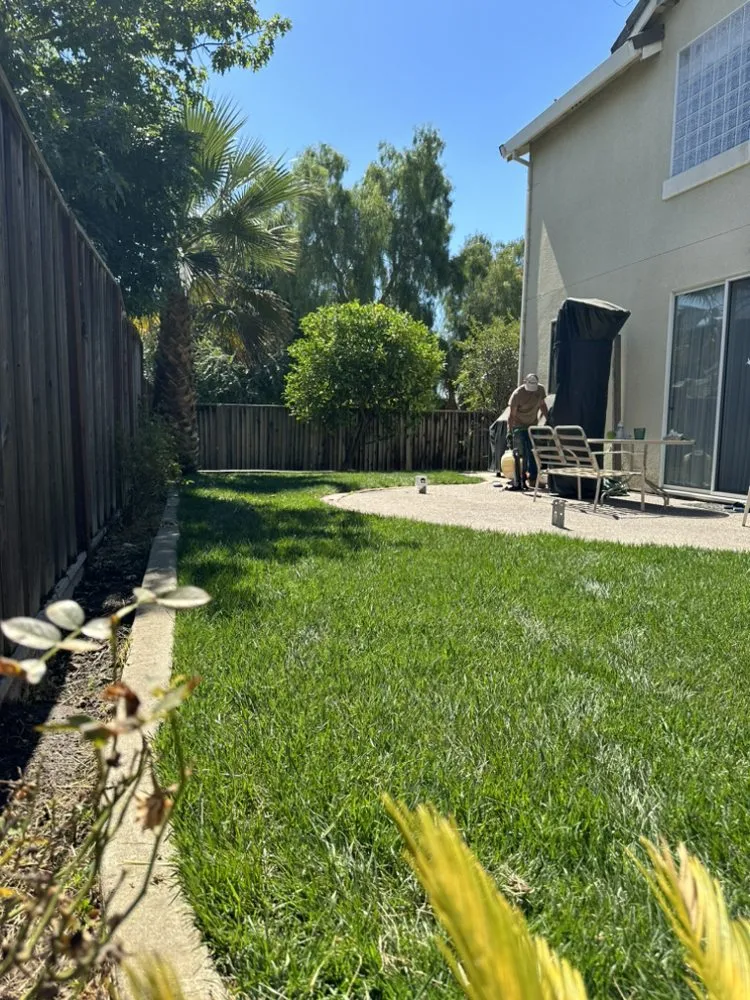 Custom yard maintenance in San Jose, CA - JCC Landscaping