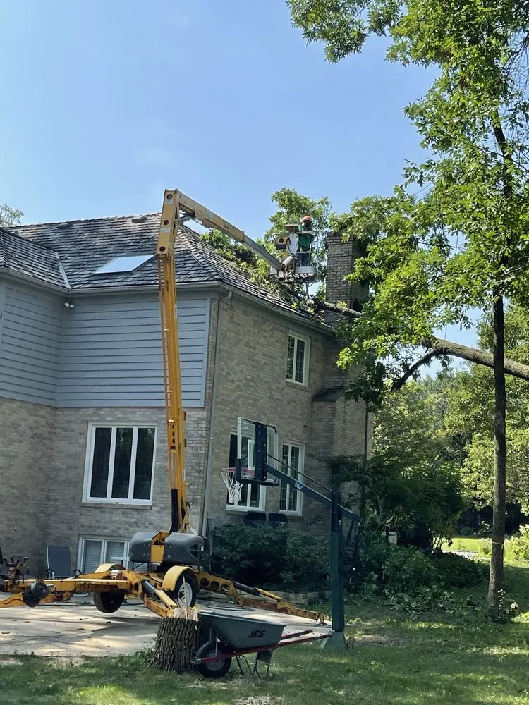 Reliable residential landscaping with custom design across Waukegan, IL - Jcca Tree and Lawn