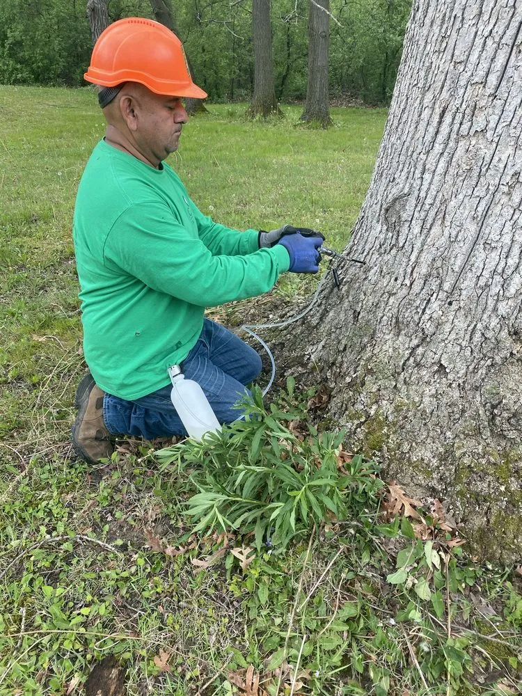 Expert residential landscaping in Waukegan, IL - Jcca Tree and Lawn
